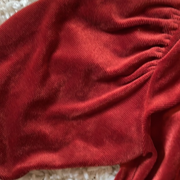 NWOT A.L.C. Marcel Long Sleeve Ruched Velvet Minidress in Sumac Sz 0 - Picture 8 of 12